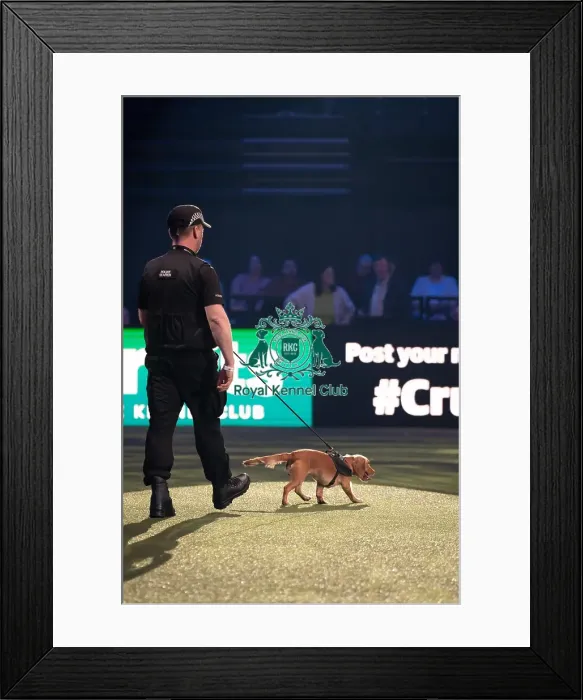 Framed Print : West Midlands Police dog Display Framed Print : West Midlands Police dog Display