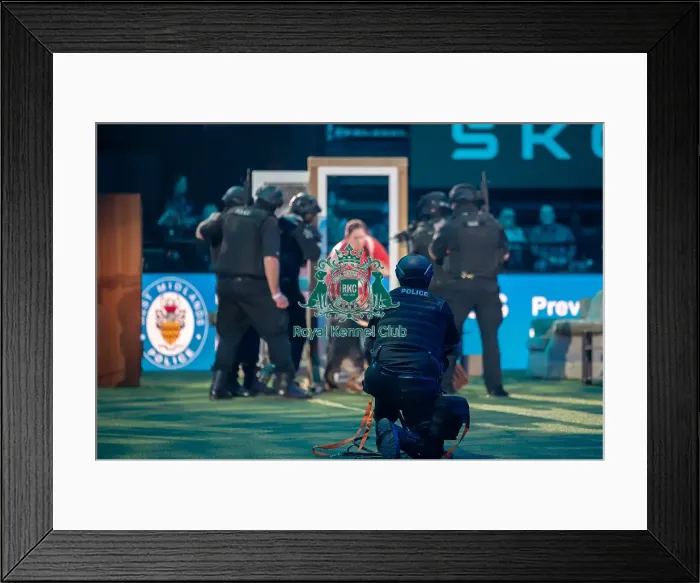 Framed Print : West Midlands Police dog Display