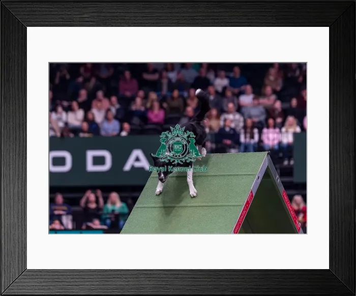 Framed Print : Naarah Cuddy & Banana (Runbye Goin Bananas) Framed Print : Naarah Cuddy & Banana (Runbye Goin Bananas)