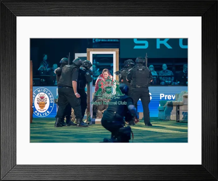 Framed Print : West Midlands Police dog Display Framed Print : West Midlands Police dog Display