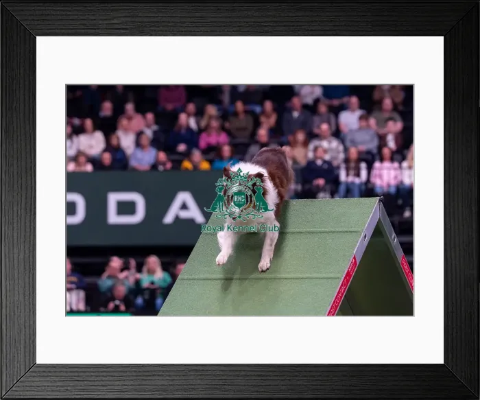 Framed Print : Kayleigh Hewitt & Cosmo (Ag. Ch)