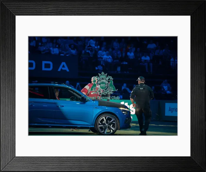 Framed Print : West Midlands Police dog Display Framed Print : West Midlands Police dog Display