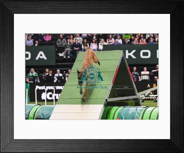 Framed Print : Helen Anderson Postle & Vesper (Ag) Framed Print : Helen Anderson Postle & Vesper (Ag)