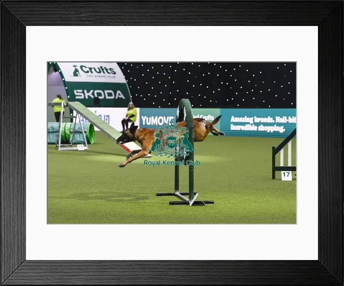Framed Print : Helen Anderson Postle & Vesper (Ag)