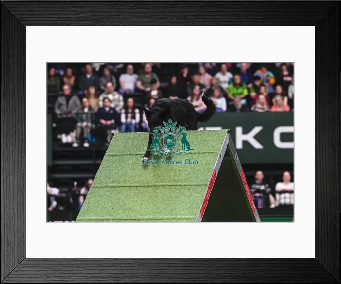 Framed Print : Max Glover & Sushi (Soldaze Dark Side Of The Moon) Framed Print : Max Glover & Sushi (Soldaze Dark Side Of The Moon)