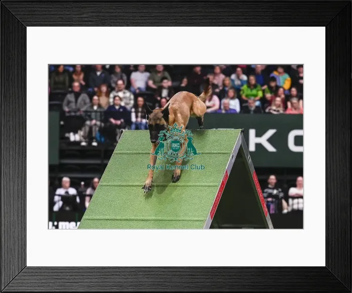 Framed Print : Helen Anderson Postle & Vesper (Ag)