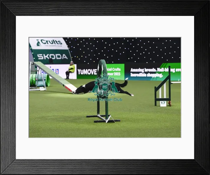 Framed Print : Jo Gleed & Stealie (Ag. Ch) Framed Print : Jo Gleed & Stealie (Ag. Ch)