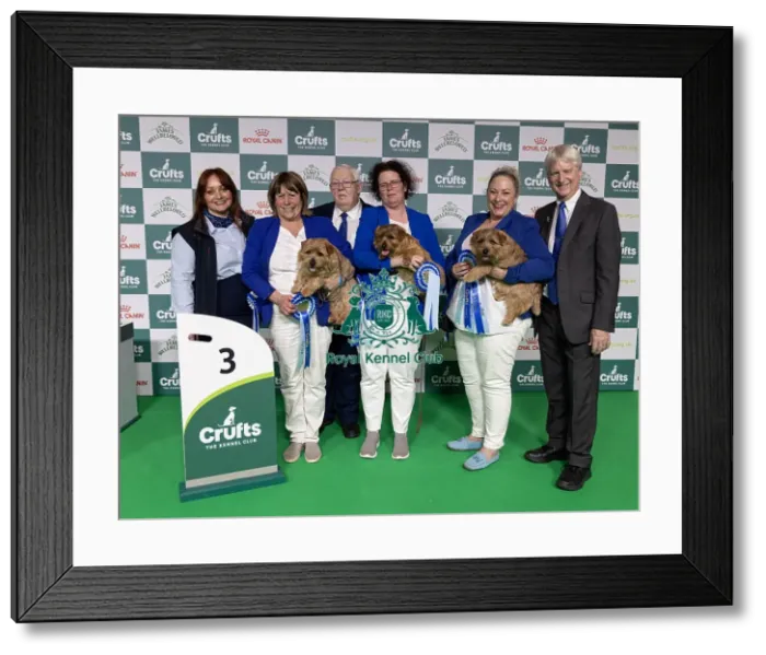Framed Print : Breeder Ruth Gee with her 3rd placed Norfolk Terrier Watercrofts who was competing today in the Breeders Competiition