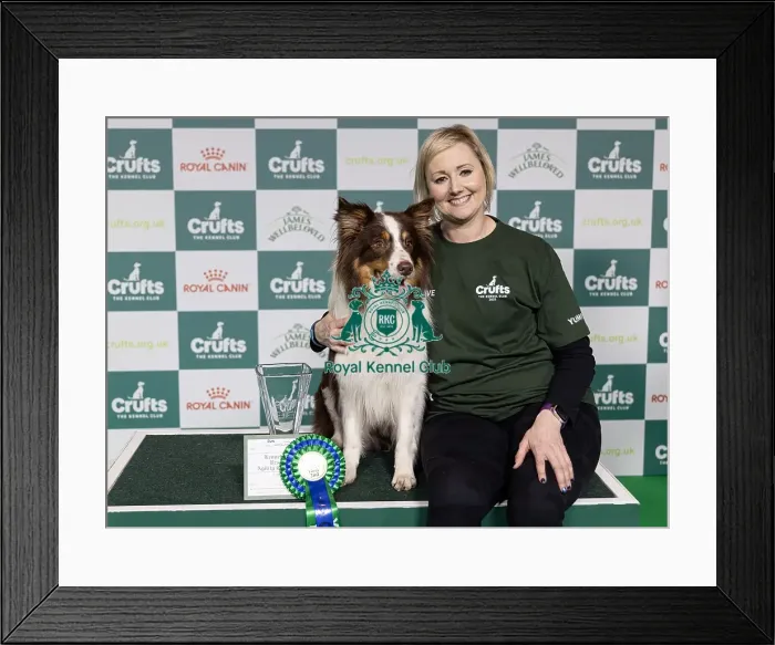 Framed Print : Agility Champions Large Final Runner up Kayleigh Hewit with Manicjax Summer like a sauna Framed Print : Agility Champions Large Final Runner up Kayleigh Hewit with Manicjax Summer like a sauna