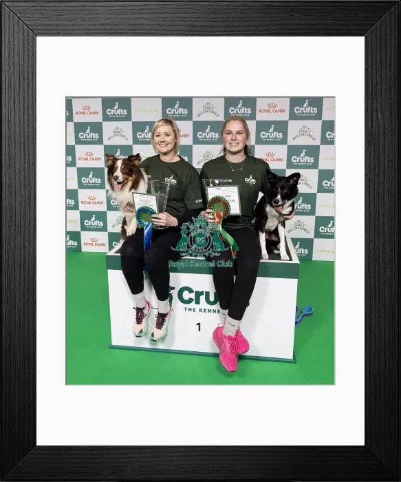Framed Print : Agility Champions Large Final Runner up Kayleigh Hewit with Manicjax Summer like a sauna Framed Print : Agility Champions Large Final Runner up Kayleigh Hewit with Manicjax Summer like a sauna