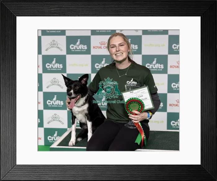 Framed Print : Agility Champions Large Final Winner Naarah Cuddy with Runbye go Bananas Framed Print : Agility Champions Large Final Winner Naarah Cuddy with Runbye go Bananas