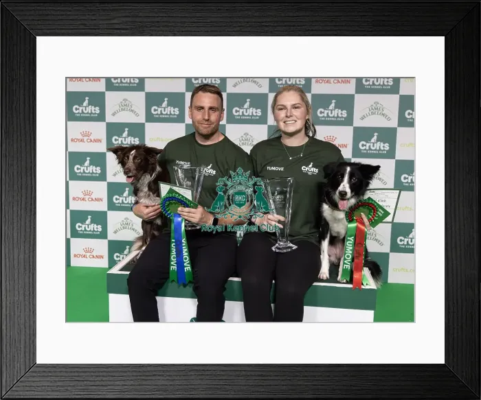 Framed Print : Agility Champions Large Final Intermediate Winner Naarah Cuddy with Dark Pleasure Framed Print : Agility Champions Large Final Intermediate Winner Naarah Cuddy with Dark Pleasure