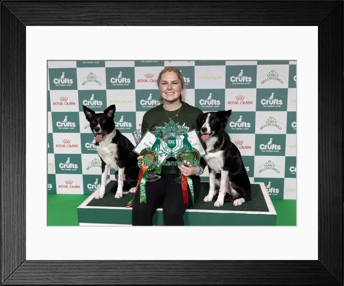 Framed Print : Agility Champions Large Final Winner Naarah Cuddy with Runbye go Bananas and Dark Pleasure