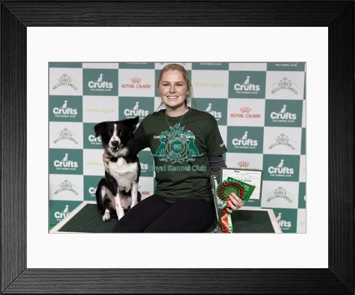 Framed Print : Agility Champions Large Final Intermediate Winner Naarah Cuddy with Dark Pleasure today (Thursday 06 / 03 / 25) Framed Print : Agility Champions Large Final Intermediate Winner Naarah Cuddy with Dark Pleasure today (Thursday 06 / 03 / 25)