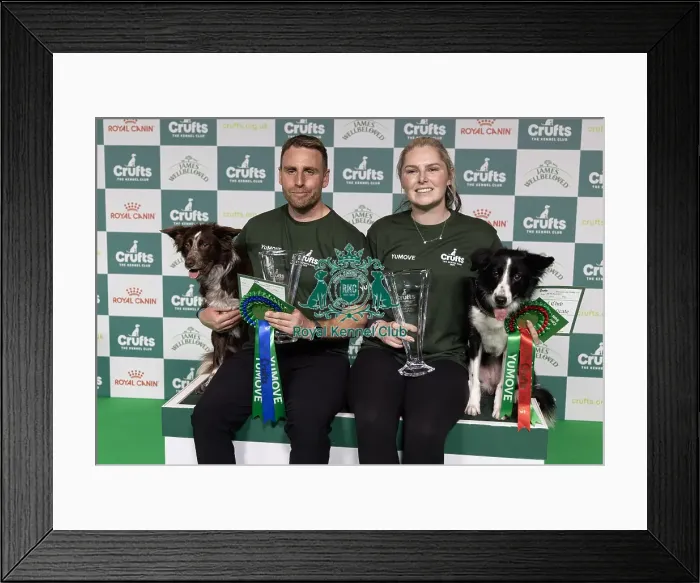 Framed Print : Agility Champions Large Final Intermediate Winner Naarah Cuddy with Dark Pleasure Framed Print : Agility Champions Large Final Intermediate Winner Naarah Cuddy with Dark Pleasure