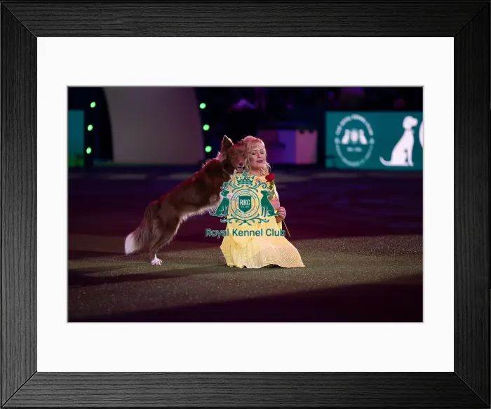 Framed Print : Lucy Heath with Stillmoor Star Turn Framed Print : Lucy Heath with Stillmoor Star Turn
