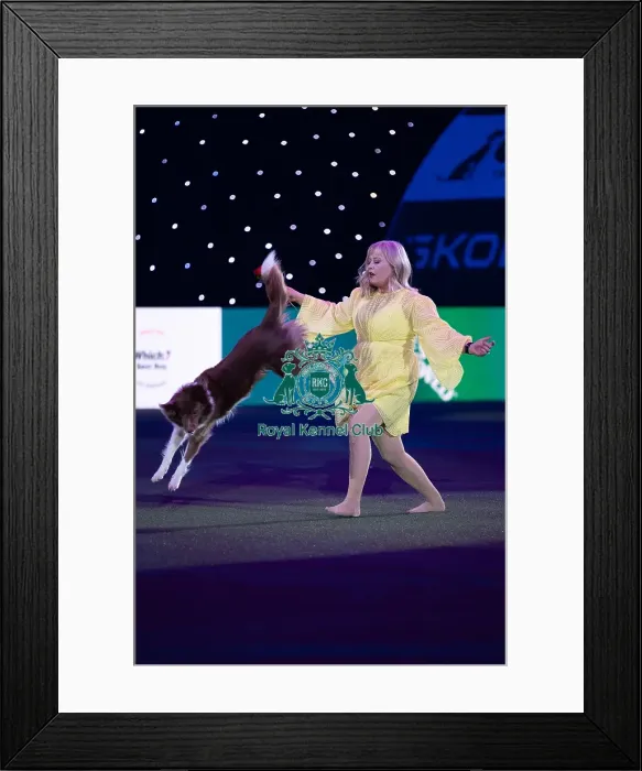 Framed Print : Lucy Heath with Stillmoor Star Turn Framed Print : Lucy Heath with Stillmoor Star Turn