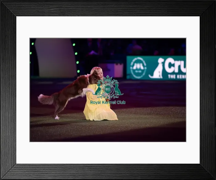 Framed Print : Lucy Heath with Stillmoor Star Turn Framed Print : Lucy Heath with Stillmoor Star Turn