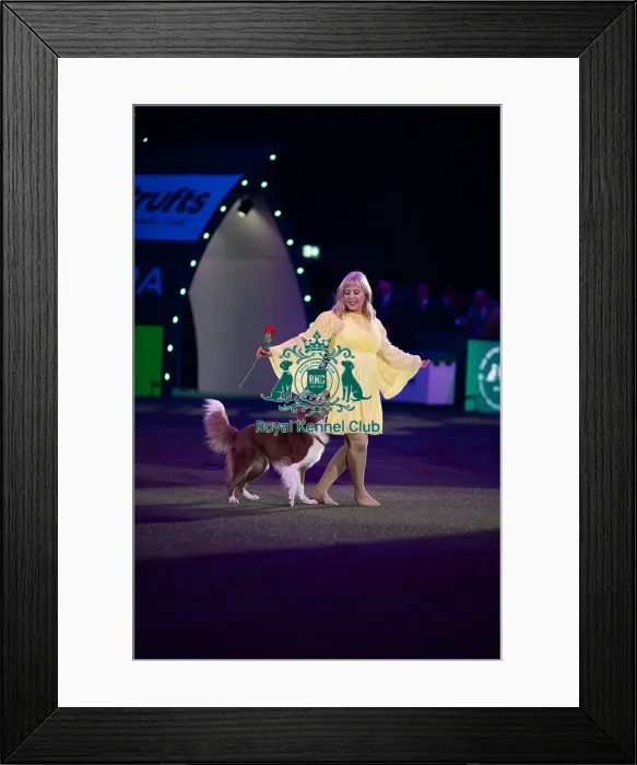 Framed Print : Lucy Heath with Stillmoor Star Turn Framed Print : Lucy Heath with Stillmoor Star Turn