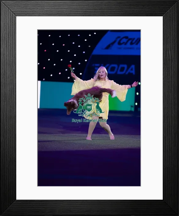 Framed Print : Lucy Heath with Stillmoor Star Turn Framed Print : Lucy Heath with Stillmoor Star Turn