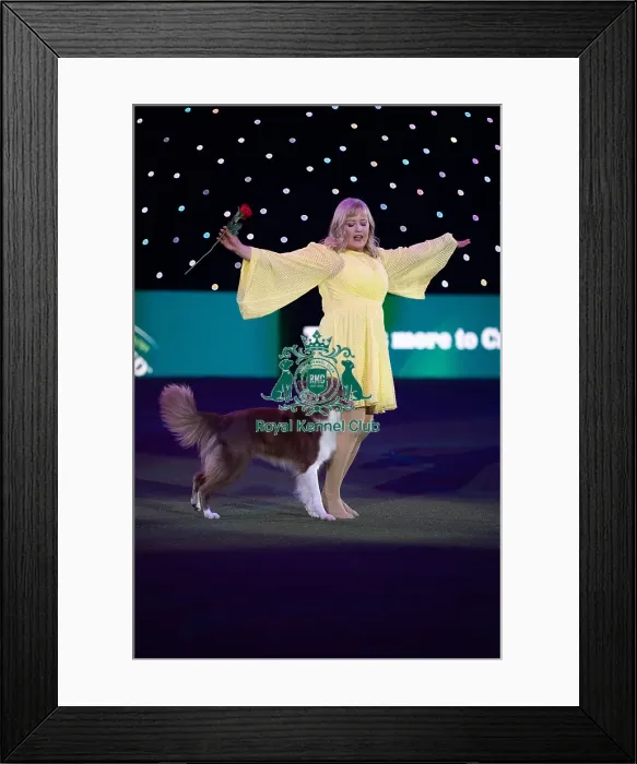 Framed Print : Lucy Heath with Stillmoor Star Turn Framed Print : Lucy Heath with Stillmoor Star Turn
