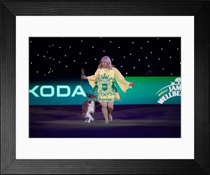 Framed Print : Lucy Heath with Stillmoor Star Turn Framed Print : Lucy Heath with Stillmoor Star Turn