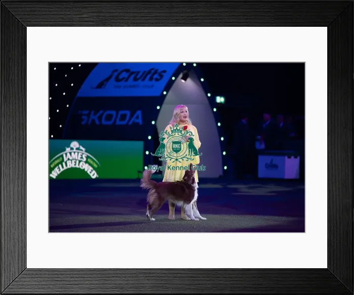Framed Print : Lucy Heath with Stillmoor Star Turn Framed Print : Lucy Heath with Stillmoor Star Turn