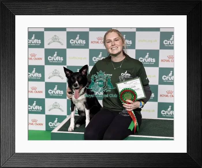 Framed Print : Agility Champions Large Final Winner Naarah Cuddy with Runbye go Bananas Framed Print : Agility Champions Large Final Winner Naarah Cuddy with Runbye go Bananas