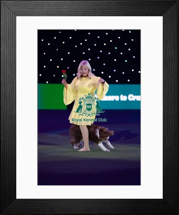 Framed Print : Lucy Heath with Stillmoor Star Turn Framed Print : Lucy Heath with Stillmoor Star Turn