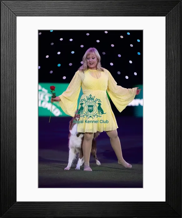 Framed Print : Lucy Heath with Stillmoor Star Turn Framed Print : Lucy Heath with Stillmoor Star Turn