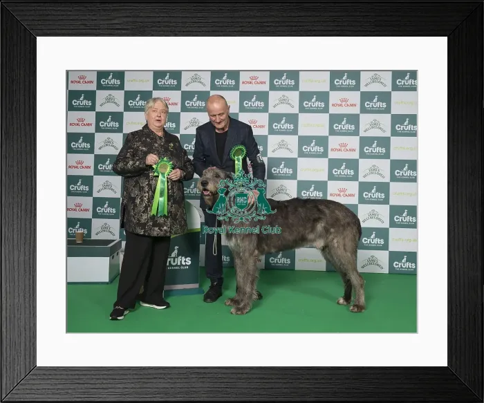 Framed Print : Roger Tebbutt from Angelesey, with Tozie Framed Print : Roger Tebbutt from Angelesey, with Tozie