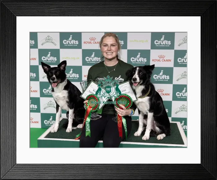 Framed Print : Agility Champions Large Final Winner Naarah Cuddy with Runbye go Bananas and Dark Pleasure