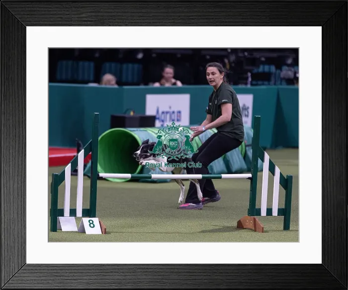 Framed Print : Trainer Ellie Buffet with Devongem Stay Gold