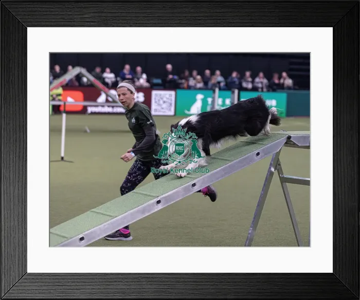 Framed Print : Trainer Georgina Baker. with Fandabidozi Funky Music Framed Print : Trainer Georgina Baker. with Fandabidozi Funky Music