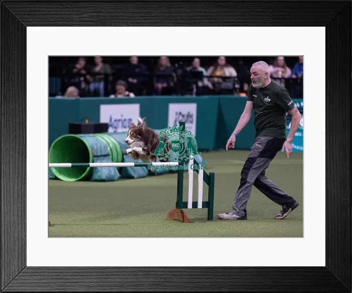 Framed Print : Trainer Mark Douglas with Montaki Fly Guy Framed Print : Trainer Mark Douglas with Montaki Fly Guy