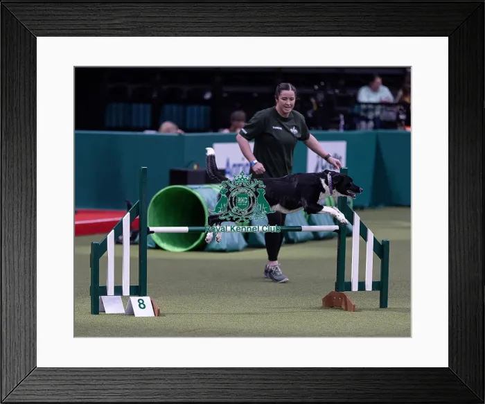 Framed Print : Trainer Rachel Gillanders with Cassidy When she wants Framed Print : Trainer Rachel Gillanders with Cassidy When she wants