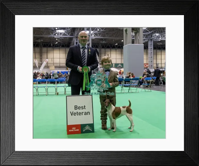 Framed Print : Judge Dr I H Gabriel with Freddie Osborne from Bobbington Framed Print : Judge Dr I H Gabriel with Freddie Osborne from Bobbington