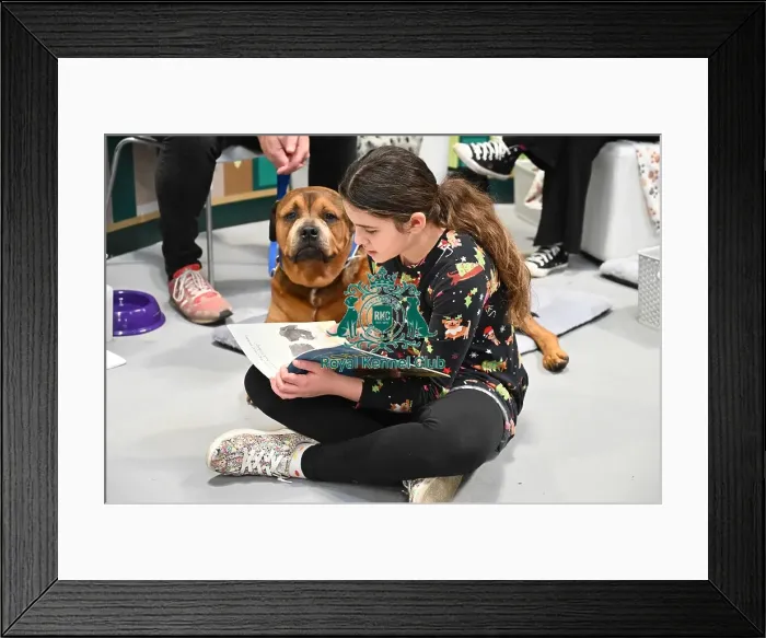 Framed Print : Dexter, a Cross breed wih Charlotte Kilvert