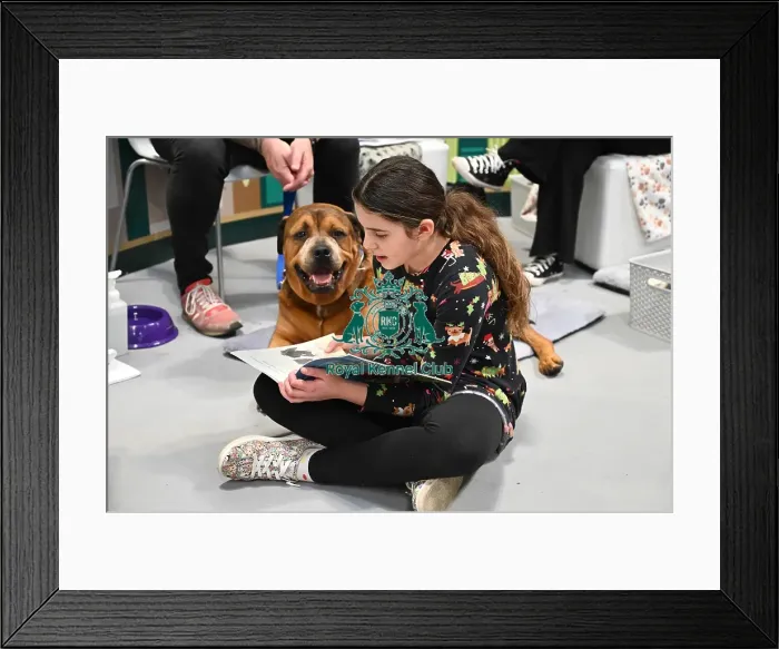 Framed Print : Dexter, a Cross breed wih Charlotte Kilvert