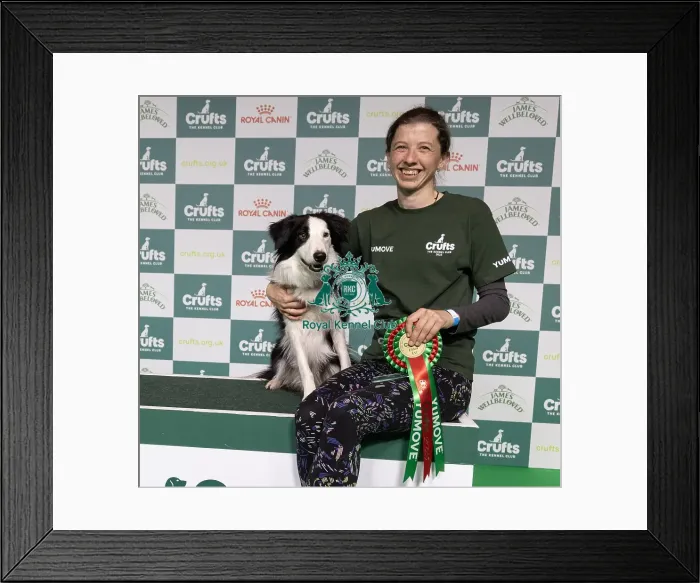 Framed Print : Agility Crufts Novice Cup Final - Intermediate Overall winner Georgina Baker with Fandabidozi Funky Music