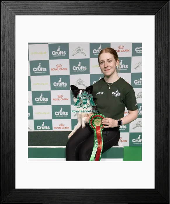 Framed Print : Agility Crufts Novice Cup Final - Small Overall winner Demi Wright with Kiss my Dust Framed Print : Agility Crufts Novice Cup Final - Small Overall winner Demi Wright with Kiss my Dust