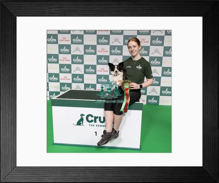 Framed Print : Agility Crufts Novice Cup Final - Small Overall winner Demi Wright with Kiss my Dust Framed Print : Agility Crufts Novice Cup Final - Small Overall winner Demi Wright with Kiss my Dust