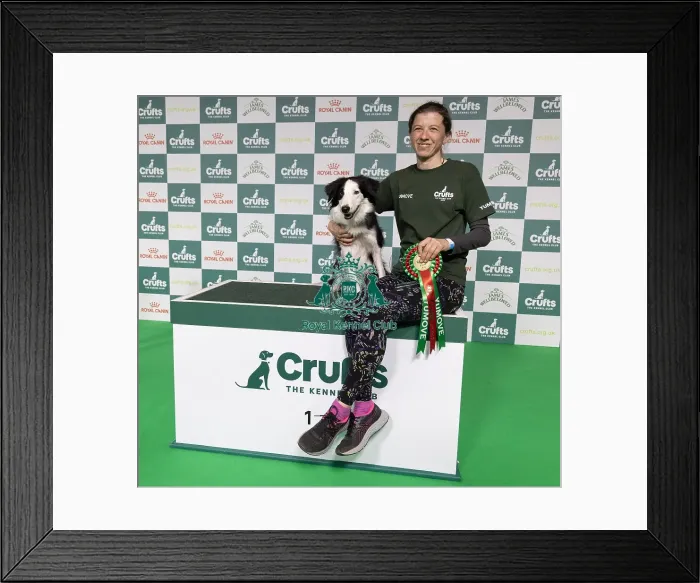 Framed Print : Agility Crufts Novice Cup Final - Intermediate Overall winner Georgina Baker with Fandabidozi Funky Music Framed Print : Agility Crufts Novice Cup Final - Intermediate Overall winner Georgina Baker with Fandabidozi Funky Music