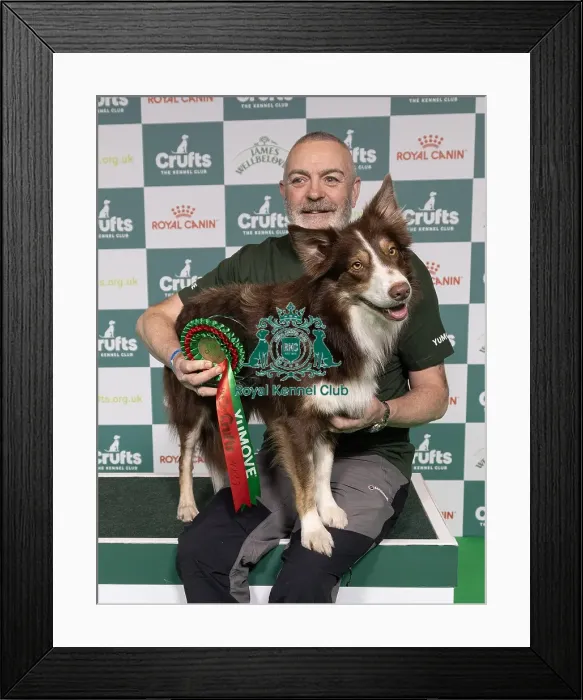 Framed Print : Agility Crufts Novice Cup Final - LargeOverall winner Mark Douglas with Montana Fly Guy Framed Print : Agility Crufts Novice Cup Final - LargeOverall winner Mark Douglas with Montana Fly Guy