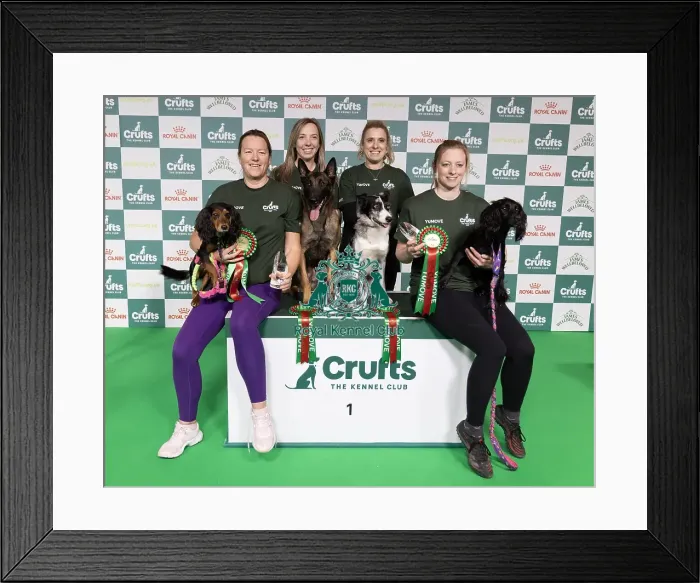 Framed Print : Agility Crufts Novice Cup Final - Agility Winners Framed Print : Agility Crufts Novice Cup Final - Agility Winners