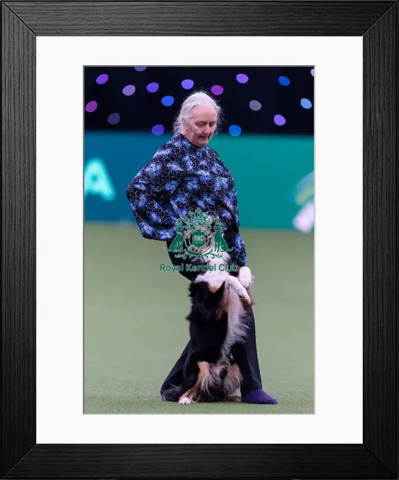 Framed Print : Heather Smith with Wee Roberts The Bruce Framed Print : Heather Smith with Wee Roberts The Bruce