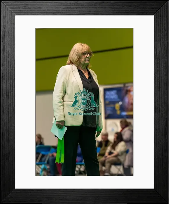Framed Print : Mrs P Gray during the judging of the Norwich terriers open bitch class today (Thursday 06 / 03 / 25) Framed Print : Mrs P Gray during the judging of the Norwich terriers open bitch class today (Thursday 06 / 03 / 25)