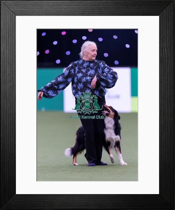 Framed Print : Heather Smith with Wee Roberts The Bruce Framed Print : Heather Smith with Wee Roberts The Bruce