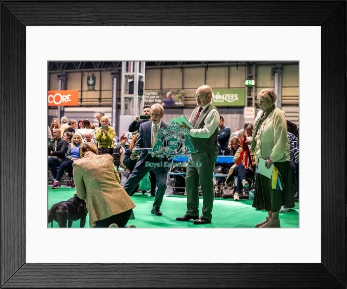 Framed Print : Judge Mr T Moore with Glenskyra Lomond Lad JW