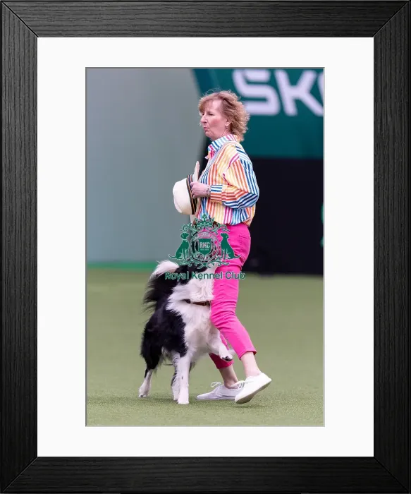 Framed Print : Susan Steele with Sheltysham Slim Roadie Framed Print : Susan Steele with Sheltysham Slim Roadie